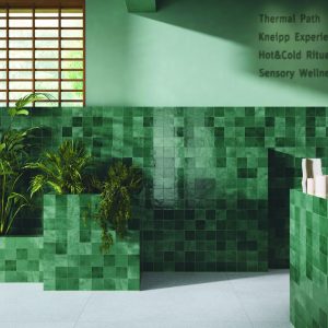 Alchemy Selva 100x100